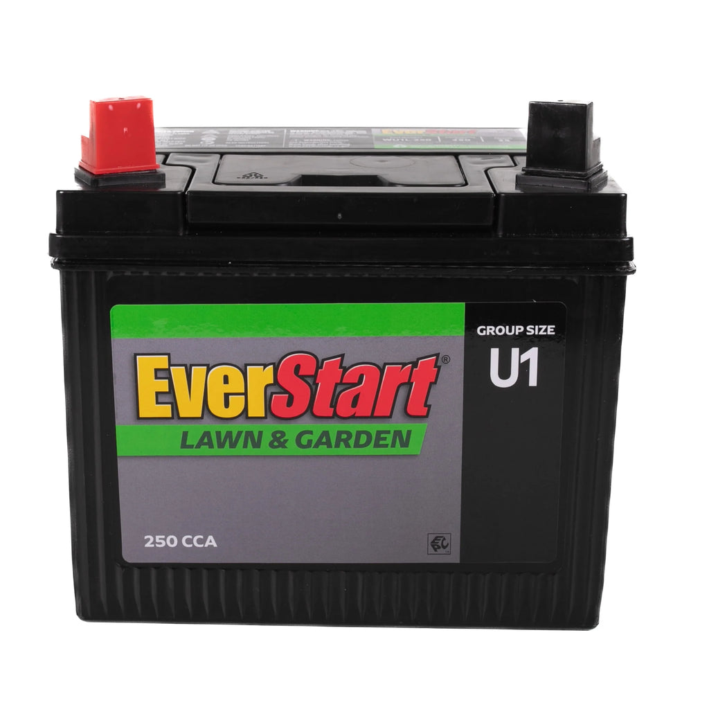 12 Volt 250 CCA Lead Acid Lawn and Garden Battery Z241