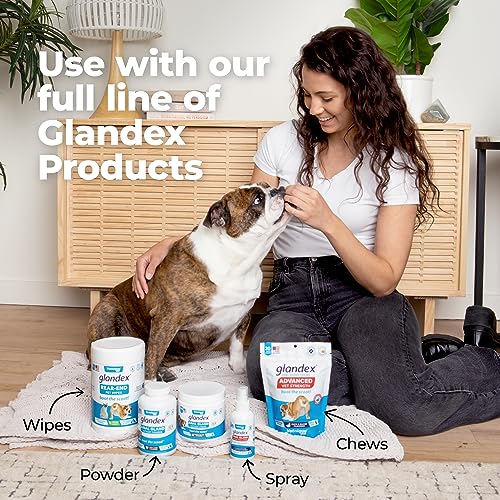 Peanut Butter Soft Chew Treats with Pumpkin for Dogs, 30ct W78653