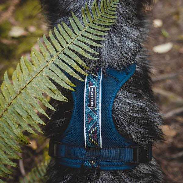 Dog Harness X98074