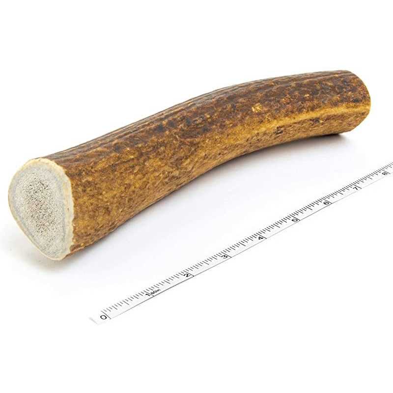 Elk Antler Dog Chew S643371