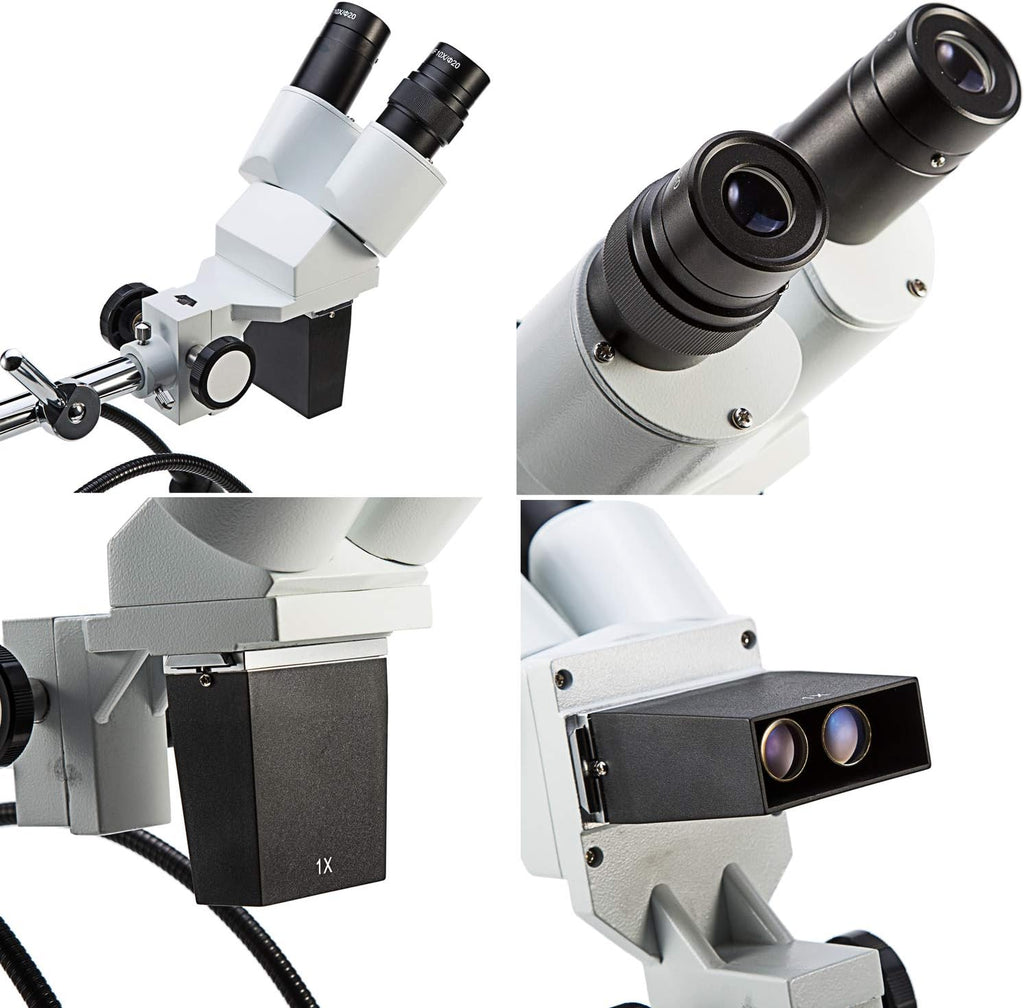 Dissecting Binocular Stereo Microscope, WF10x WF20x Eyepieces, LED Lighting F910