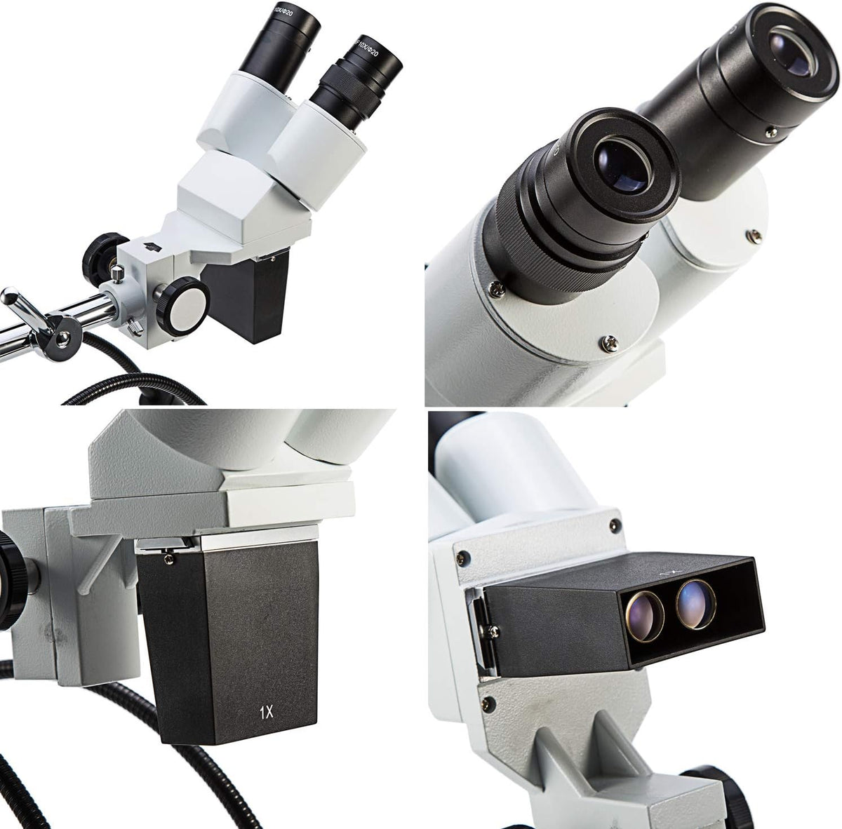 Dissecting Binocular Stereo Microscope, WF10x WF20x Eyepieces, LED Lighting F910
