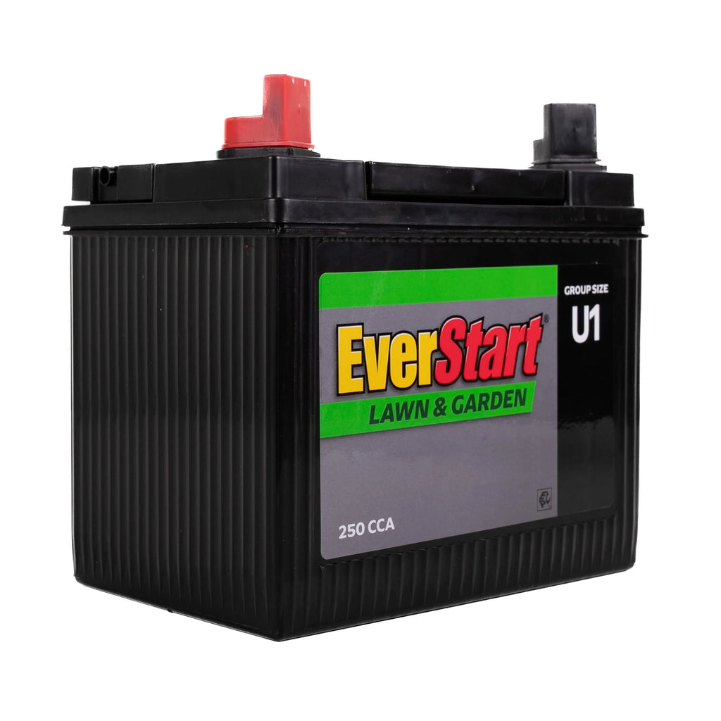 12 Volt 250 CCA Lead Acid Lawn and Garden Battery Z241