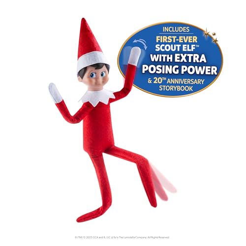 Boy with Blue Eyes Posable Christmas Elf and Storybook P803