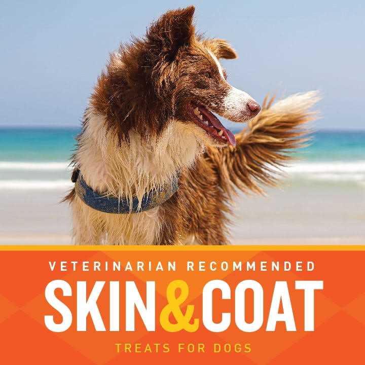 Skin & Coat Soft Chews D3593