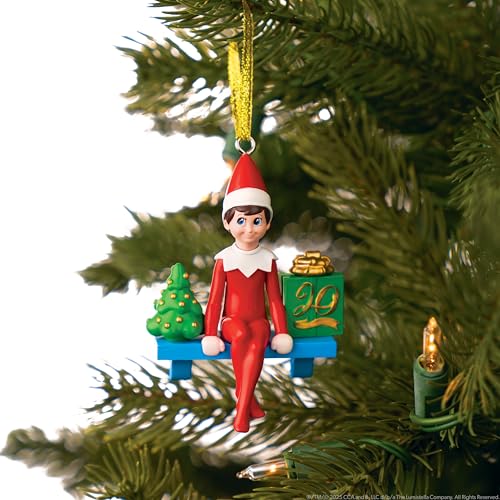 Boy with Blue Eyes Posable Christmas Elf and Storybook P803