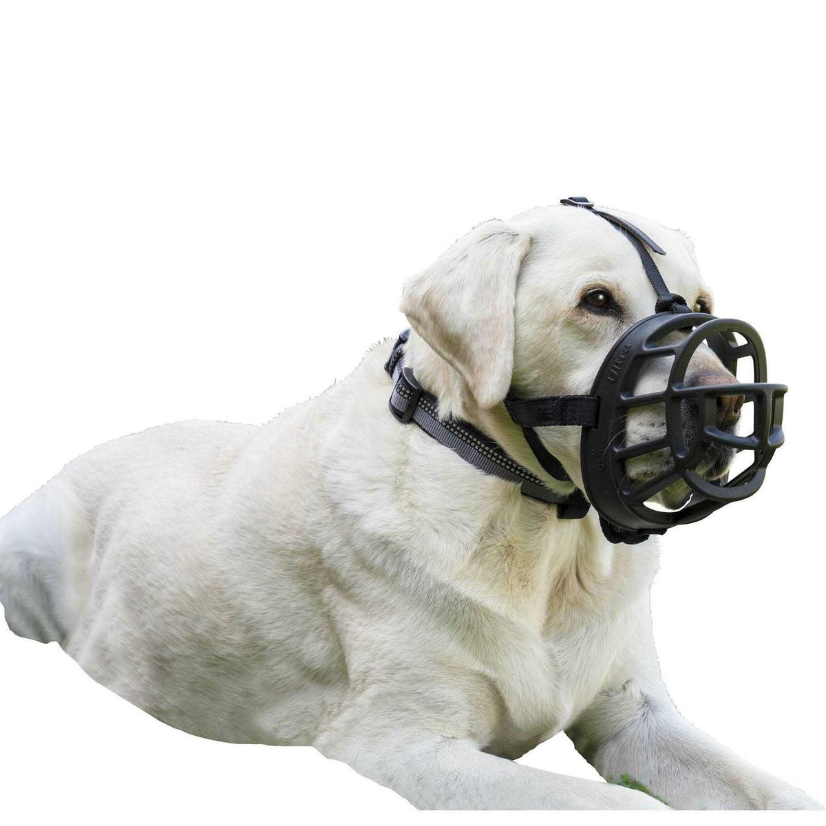Dog Muzzle C335