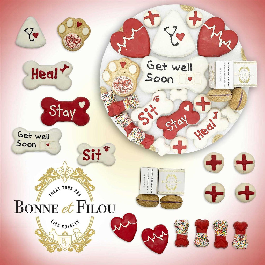 Get Well Soon Dog Treats Gift Box W649