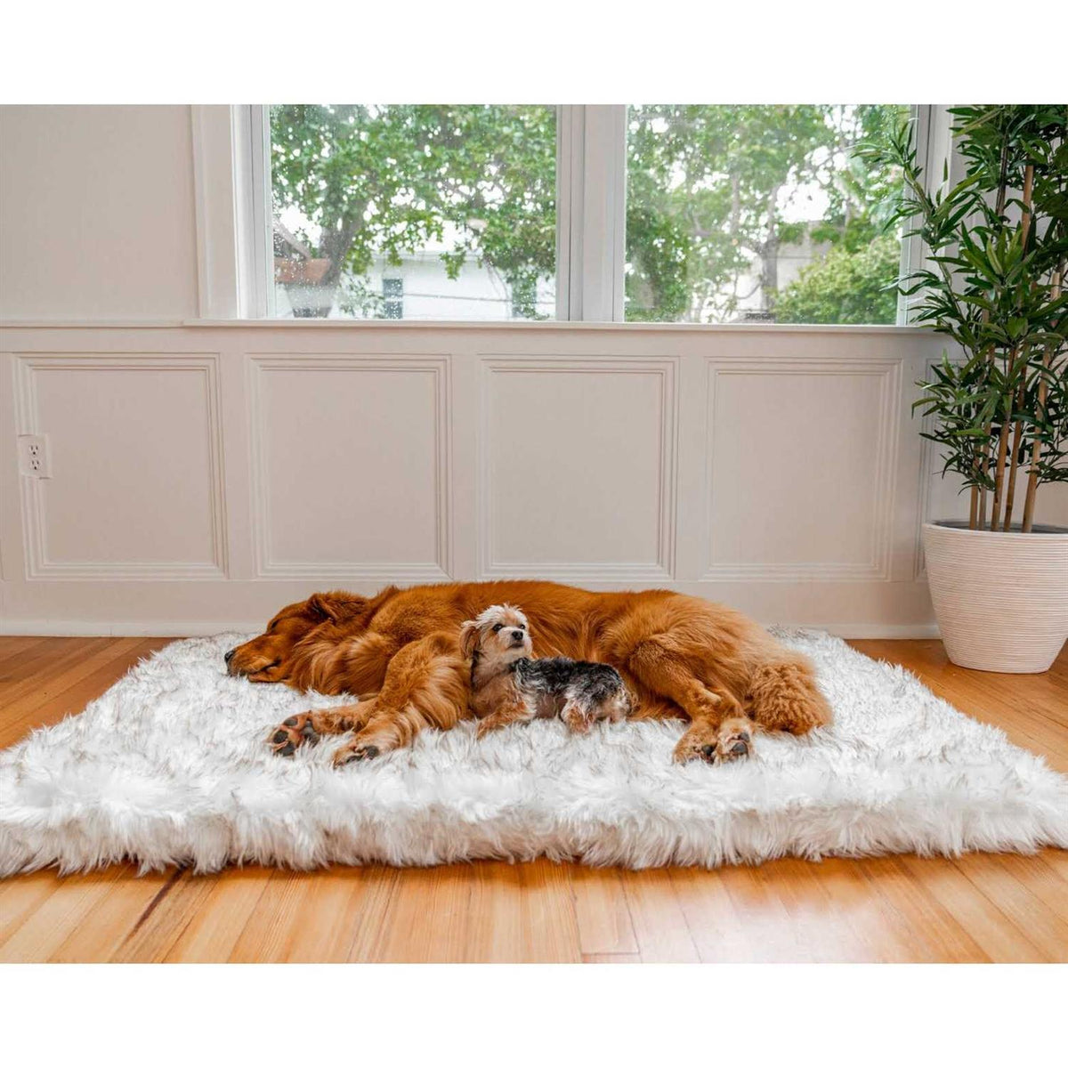 Faux Fur Orthopedic Dog Bed O6028