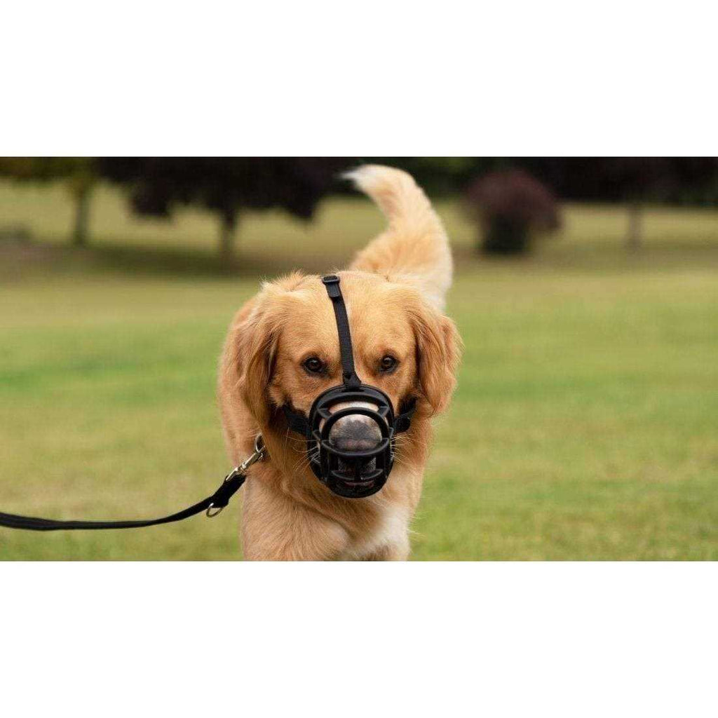 Dog Muzzle C335