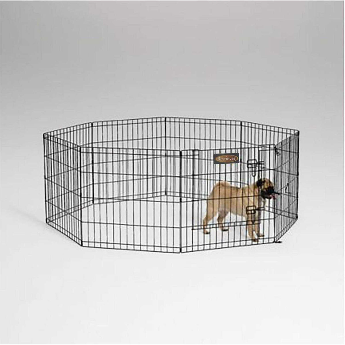 Exercise Pen G76278