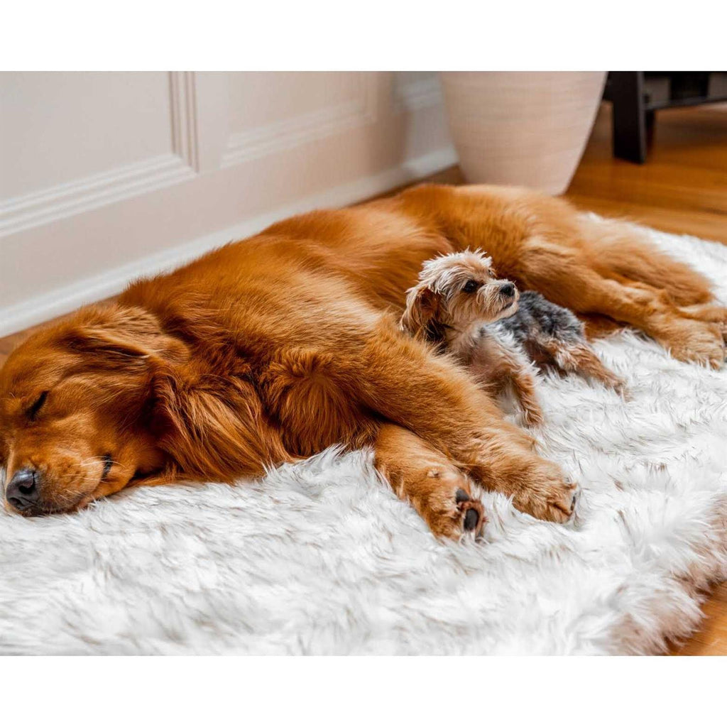 Faux Fur Orthopedic Dog Bed O6028