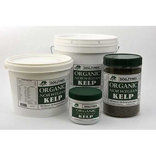 Organic Norwegian Kelp for Pets W6690