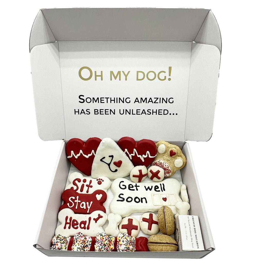 Get Well Soon Dog Treats Gift Box W649