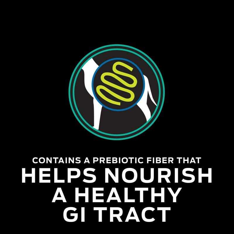 Gastroenteric Formula Dry Dog Food E154