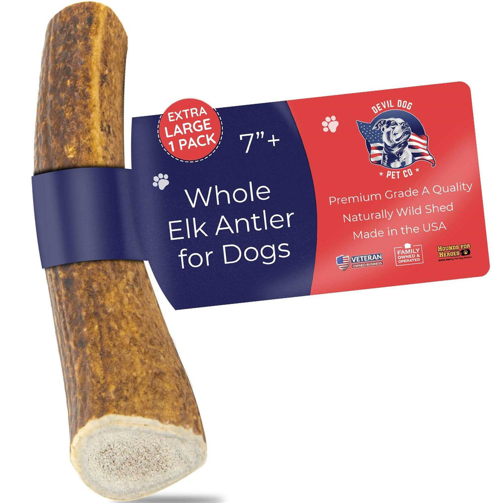 Elk Antler Dog Chew S643371