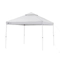 10' x 10' Dual Peak Canopy V4776