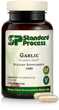 Garlic 120 Capsules I154