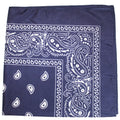 120 Pc Paisley Polyester Double Sided Bandanas D8189