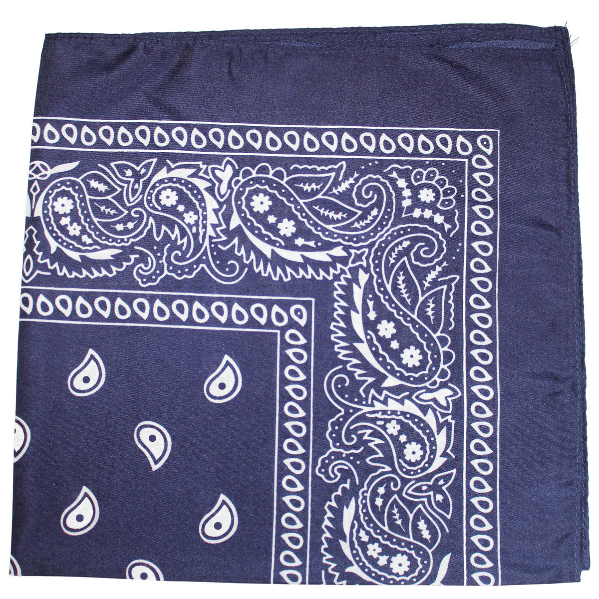 120 Pc Paisley Polyester Double Sided Bandanas D8189