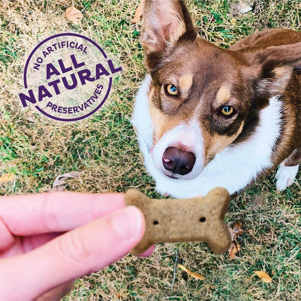 Natural Dog Biscuits I413
