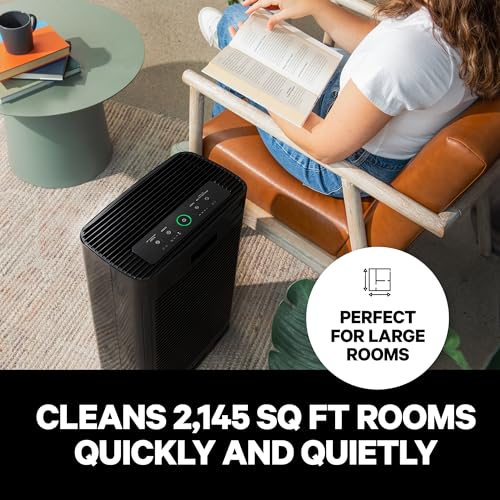 HEPA Air Purifiers for Home Large Rooms E4129