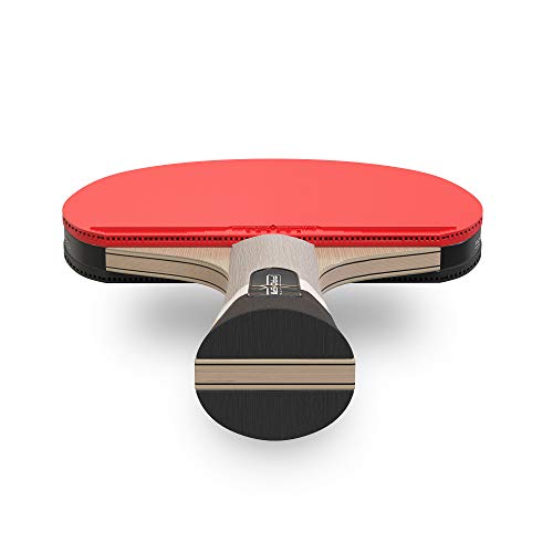 Carbon Fiber Ping Pong Paddle 2-Pack Q257147