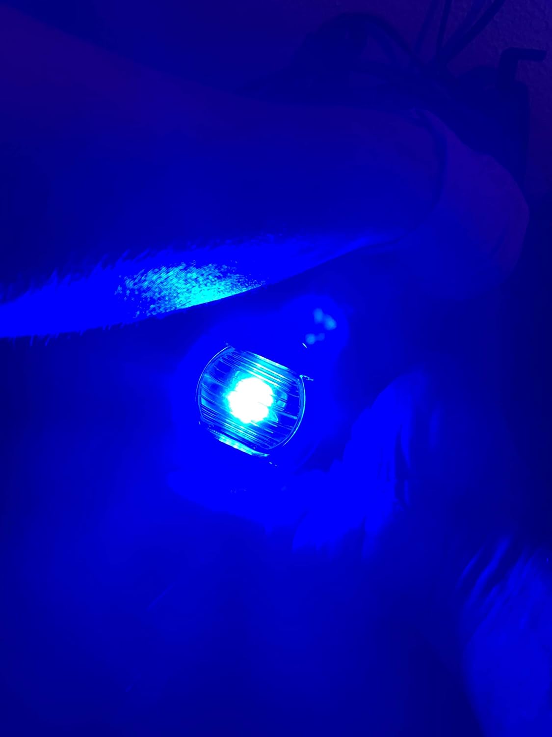 Caution Blue LED Flush Mount Light X430009