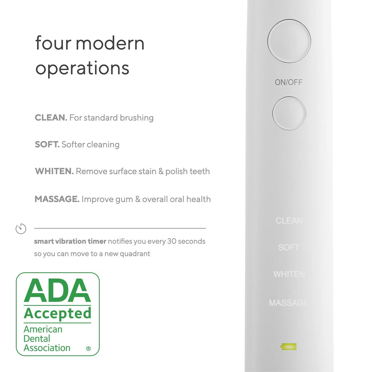 Ultra Whitening Electric Toothbrush E269