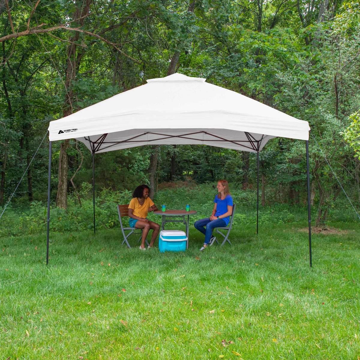 10' x 10' Dual Peak Canopy V4776