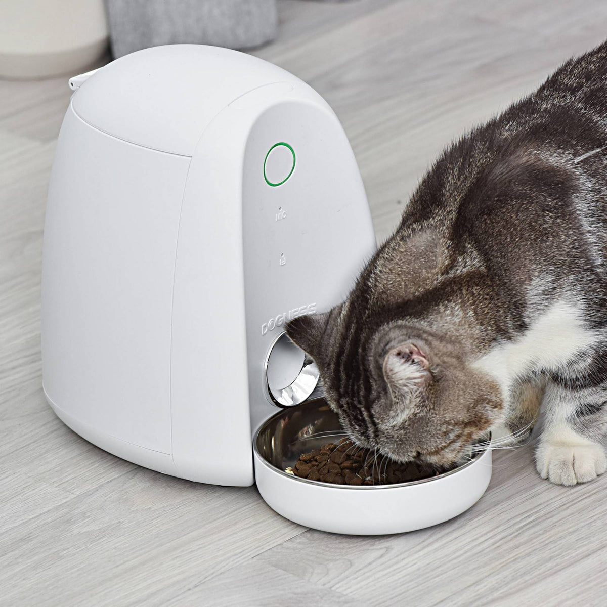 White Automatic Pet Feeder J745