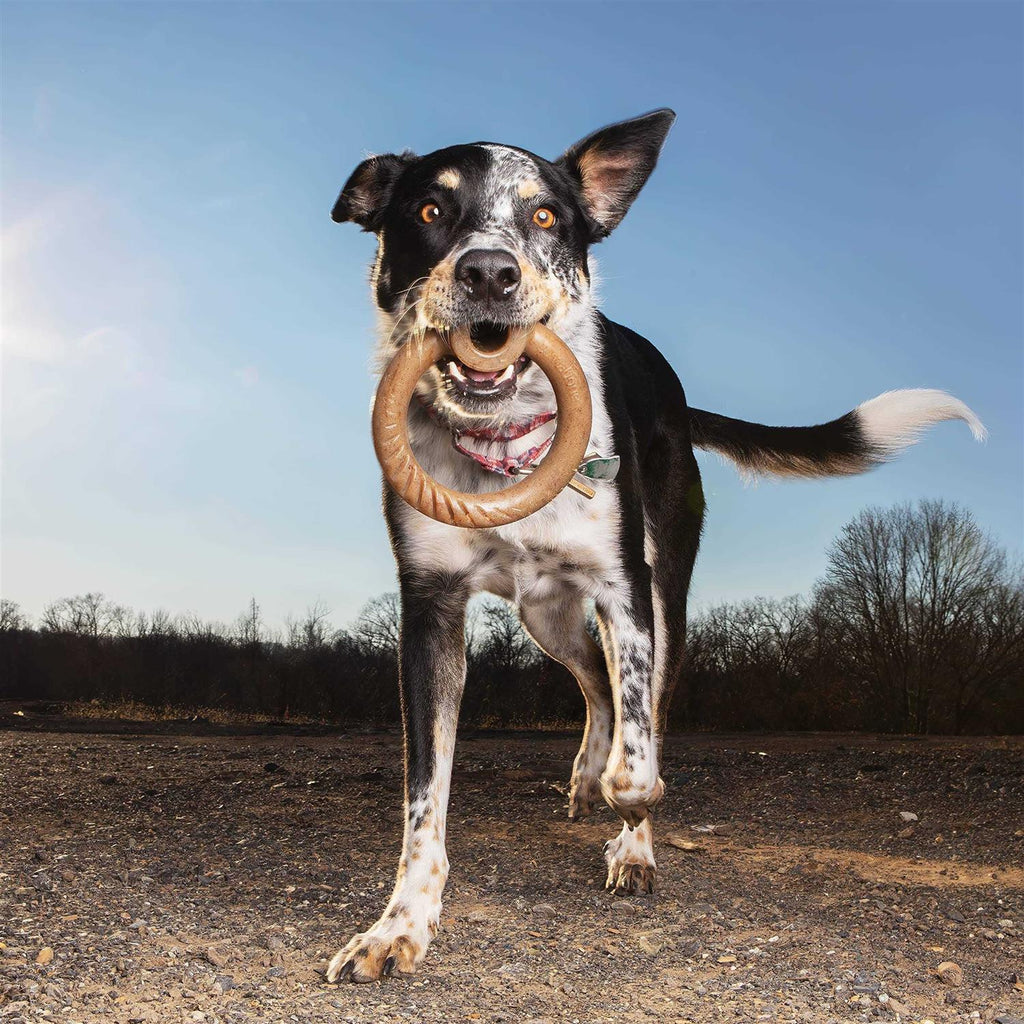 Durable Chew Toy I8661