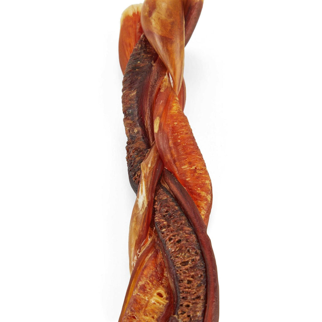 Braided Bully Stick Dog Chew C208