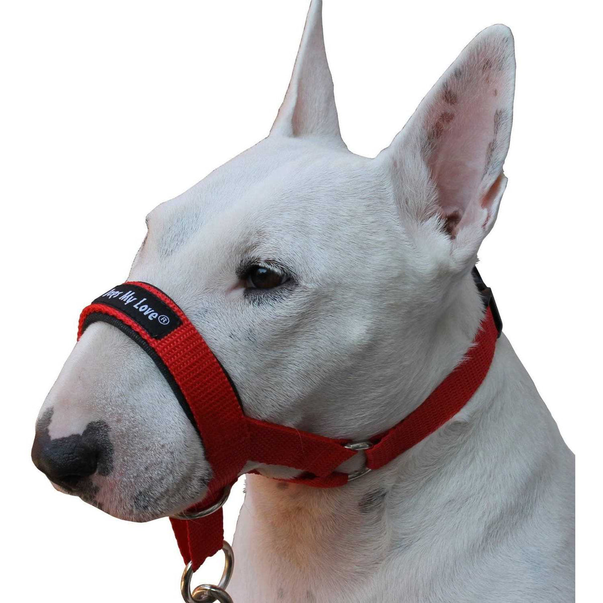 Dog Head Collar Halter Y327