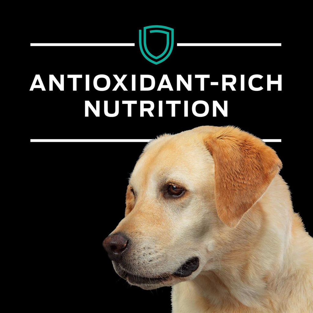 Gastroenteric Formula Dry Dog Food E154