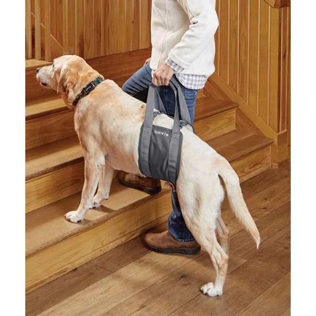 Gray Rear Dog Lift F292513