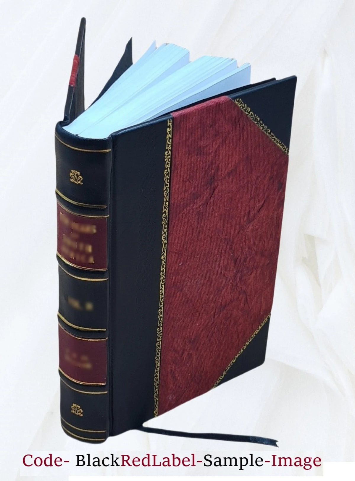 Leather Bound Book O17018