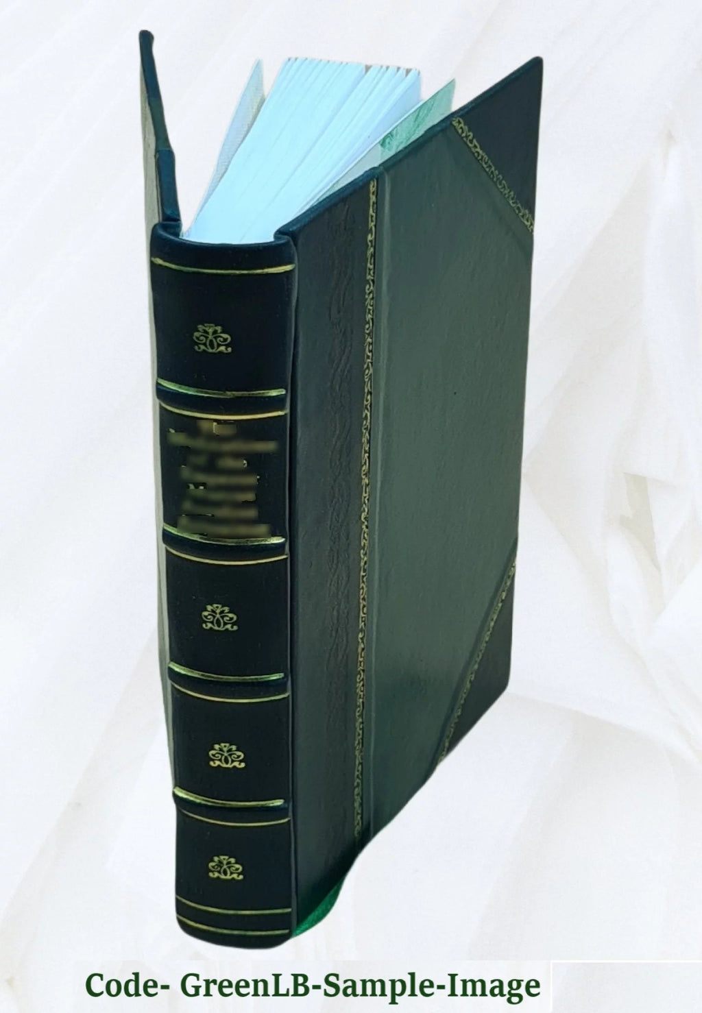 Leather Bound Encyclopedia of Fine Arts P50296