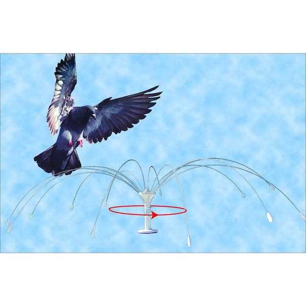 Stainless Steel Bird Spider S530