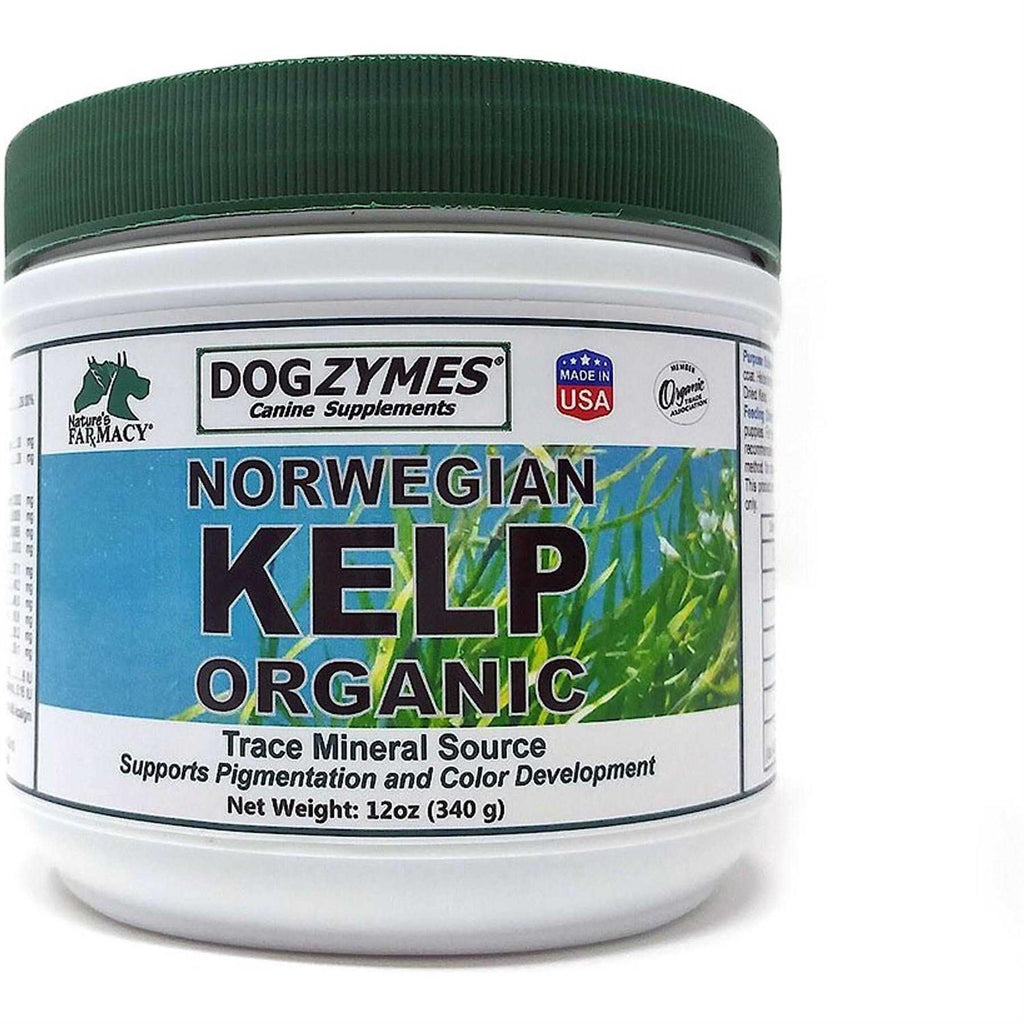 Organic Norwegian Kelp for Pets W6690