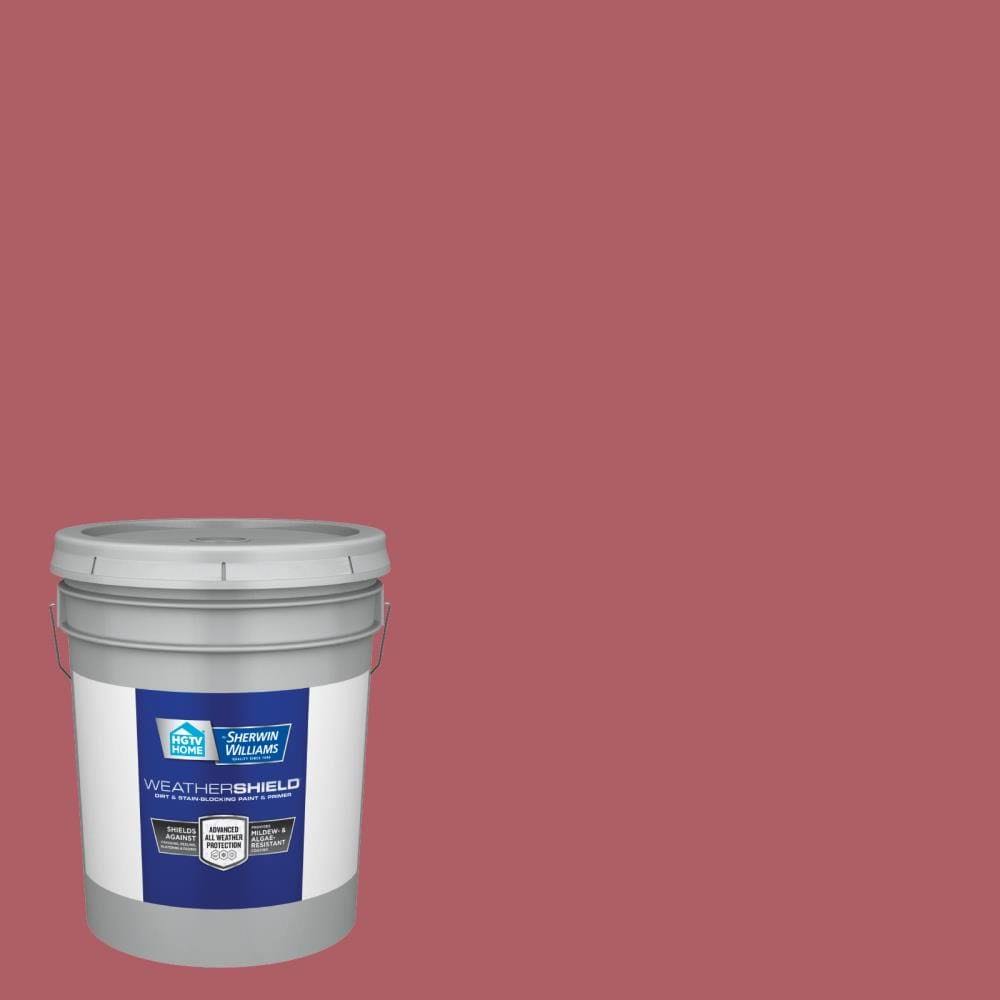 5-Gallon Exterior Paint Q490602